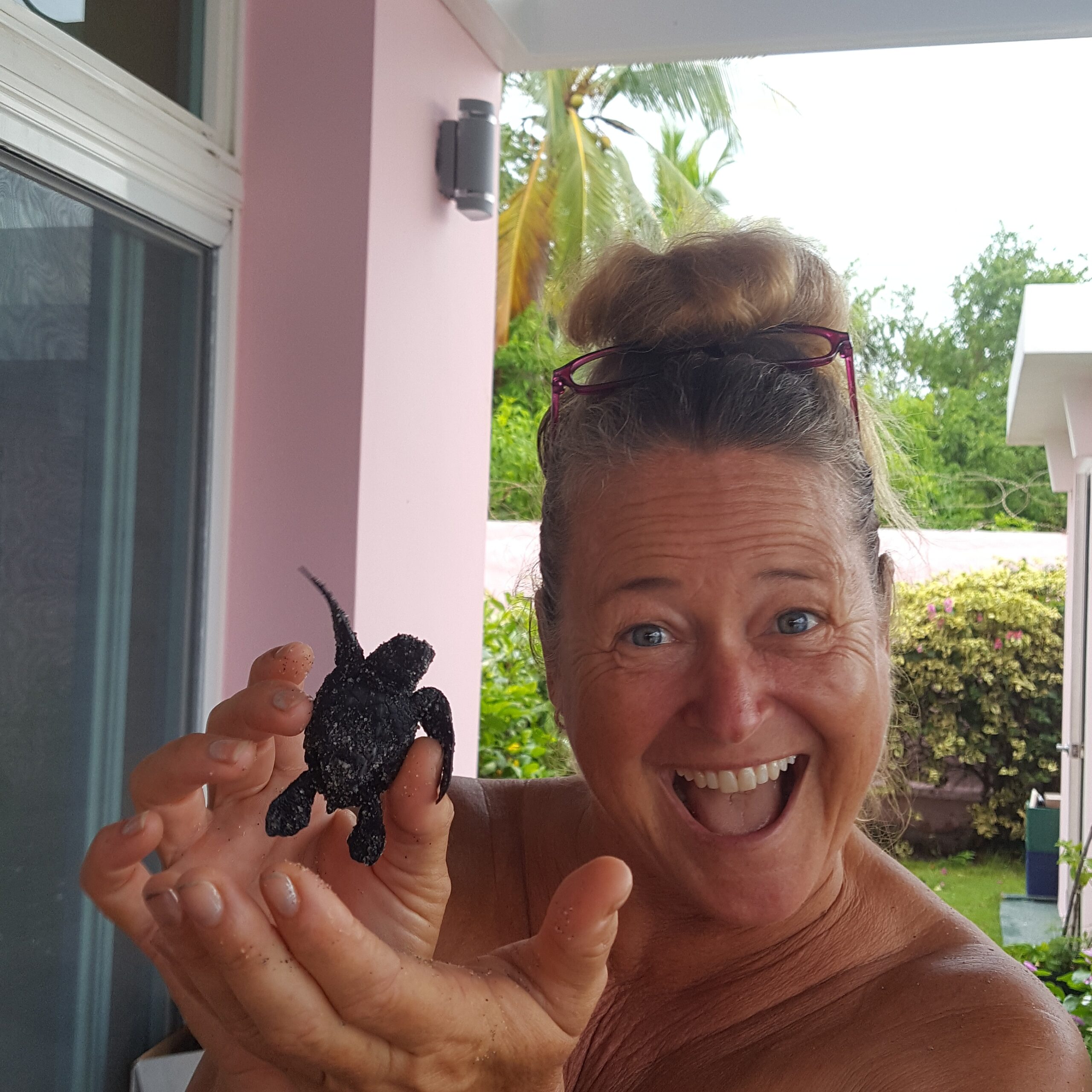 A turtle!